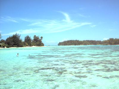 moorea