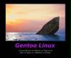 gentoo