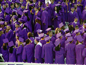 applegrad
