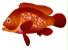 fishl