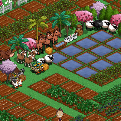 farmwithrabbits