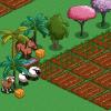 my farm on farmville