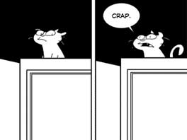 cat2