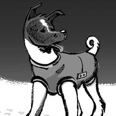 laika