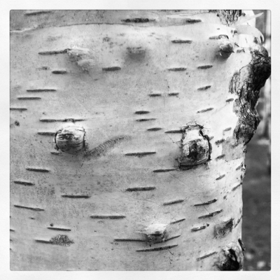 Bildschirmfoto-2014-05-24-um-22-46-18