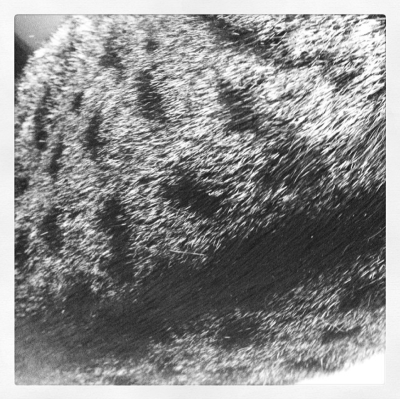 Bildschirmfoto-2014-05-25-um-22-52-16