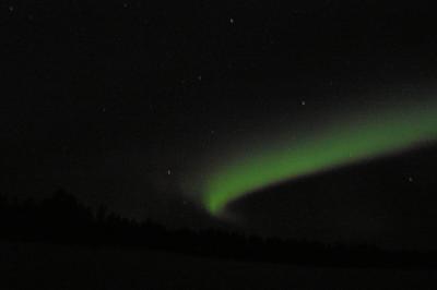 0310-The-Northern-Light-5