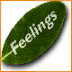 feelings