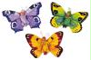 3butterfly