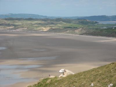 Rhossili1