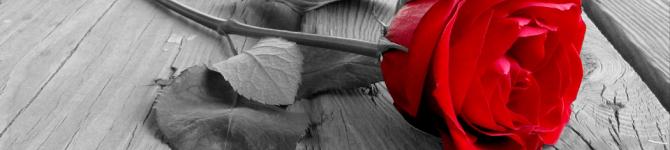 header