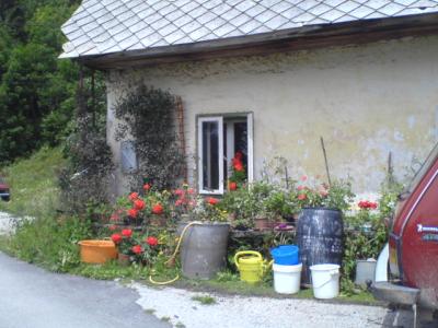 Haus-mit-Blumen