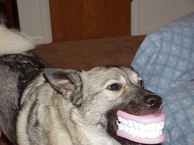 teeth