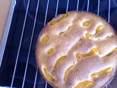 kuchen