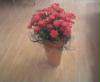 Bild014