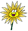 sunfloerfreude1