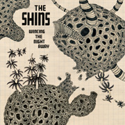 shins