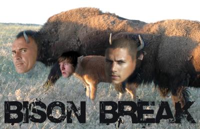 bisonbreak