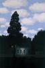 magritte_1