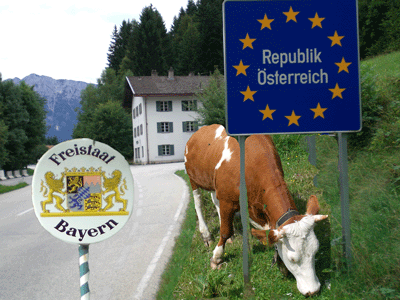Kuh in Oesterreich