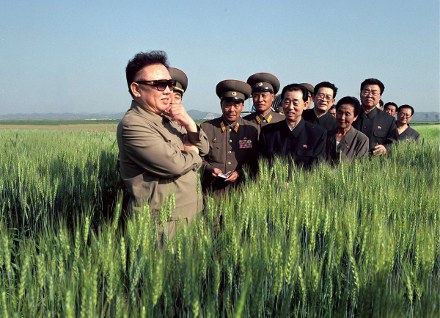 kim