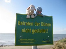 IMG 6217