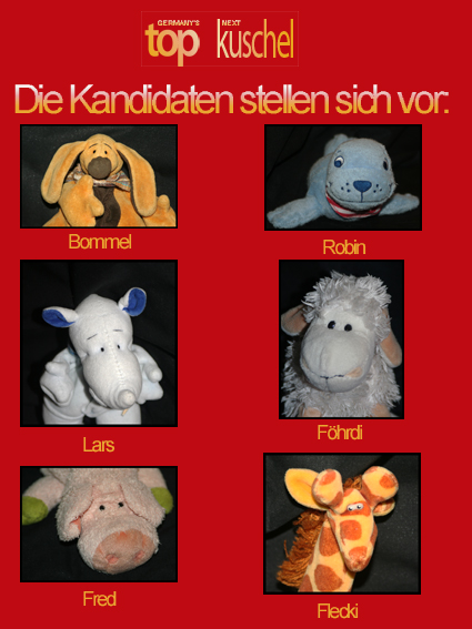 kandidaten
