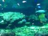 05Boulognesurmer5