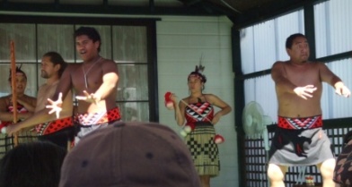 Maoris in Action