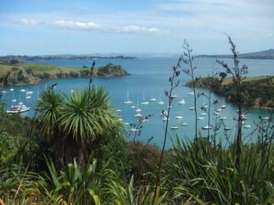 Bucht auf Waiheke