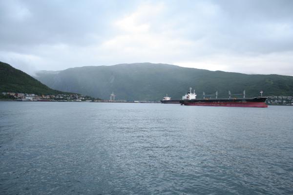 Große Erzpötte im Hafen von Narvik.