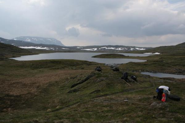 Oben auf dem Fjell: 1000 Meter hoch. Oben auf dem Fjell: 1000 Meter hoch.