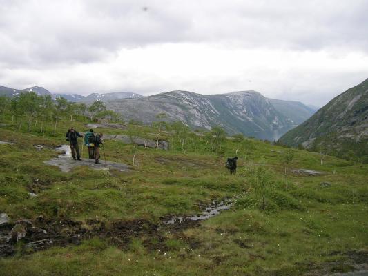 Am Hang des Coruk, mit Moos und Flechten bewachsener feuchter Fels Am Hang des Coruk, mit Moos und Flechten bewachsener feuchter Fels