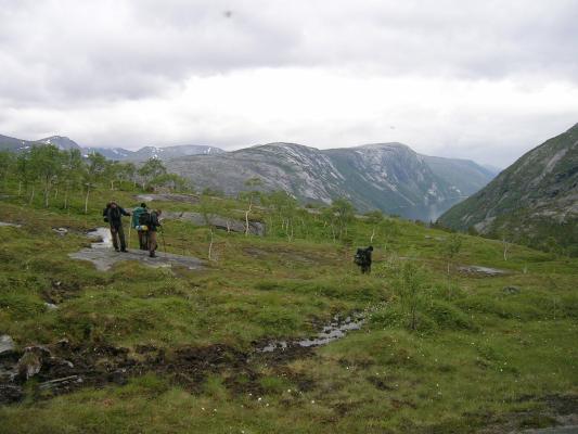 Am Hang des Coruk, mit Moos und Flechten bewachsener feuchter Fels