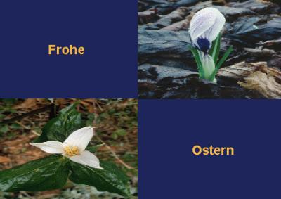 froheostern_1