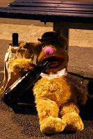 Fozzy-Bear40