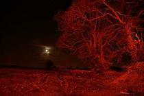 hell-at-night3