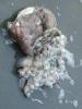 BILD0159