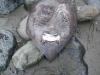 BILD0191