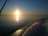 BILD0388