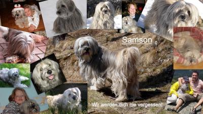 Samson