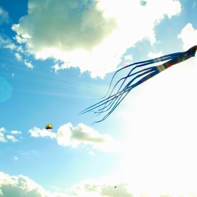 Drache blue sky