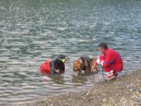 Wasser2