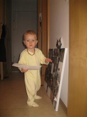 IMG_00342