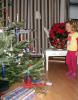 IMG_0010-1
