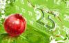green-christmas-wallpapers-and-powerpoint-backgrounds-pictures-8