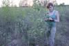 herbarium-familiaris