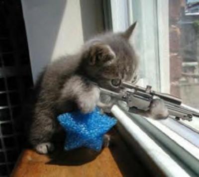 Kitty-Sniper