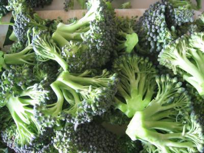 broccoli