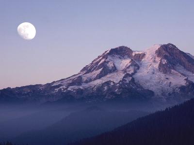 landscape15_800x600